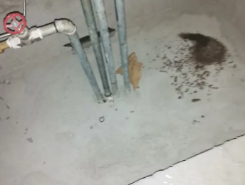 阿合奇卫生间测漏水价格明细