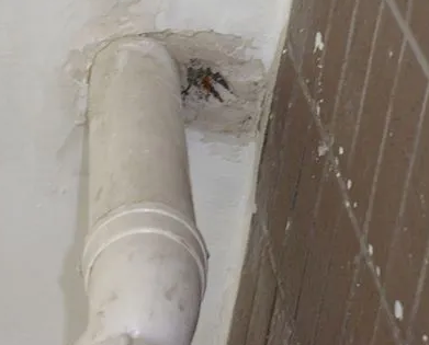 阿合奇漏水检测哪家好